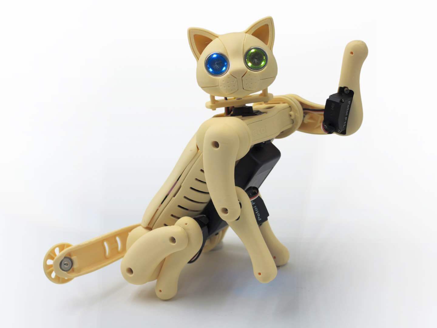 Robot Code Cat Nybble Robot Cat — Programmable Open-Source Robot Pet | Petoi