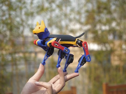 Petoi Robot Dog Bittle X