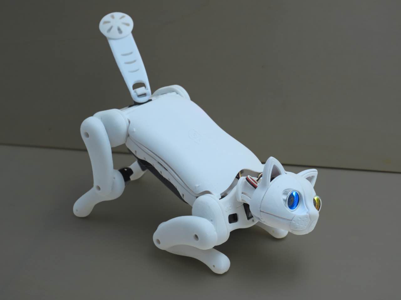 Robotic Cat | Petoi
