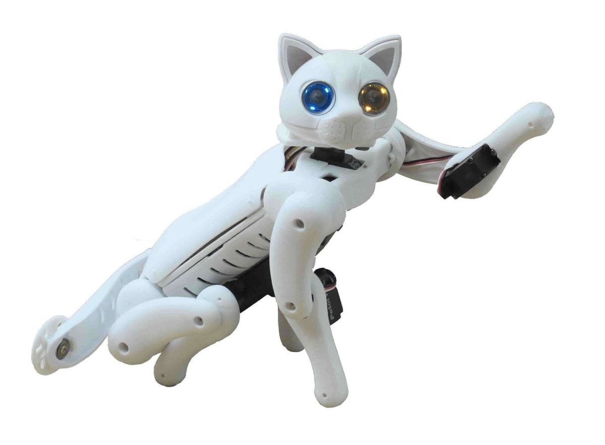 Robot Code Cat Nybble Robot Cat — Programmable Open-Source Robot Pet | Petoi