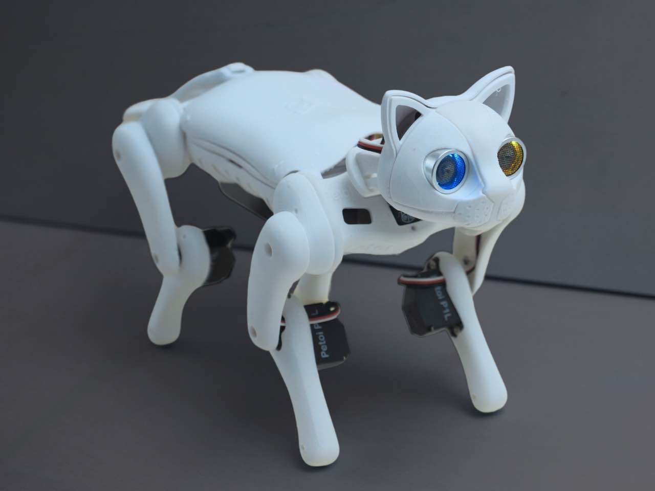 Robotic Cat | Petoi