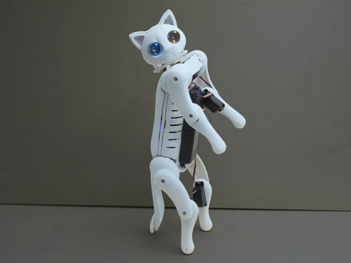 Robotic Cat | Petoi