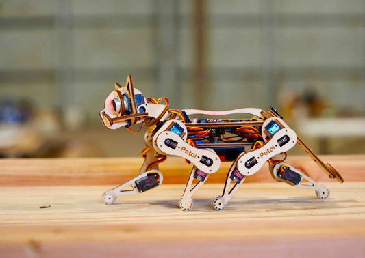 Petoi Nybble robot cat walks