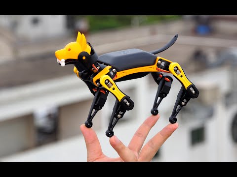Petoi Bittle Robot Dog Perfect Open