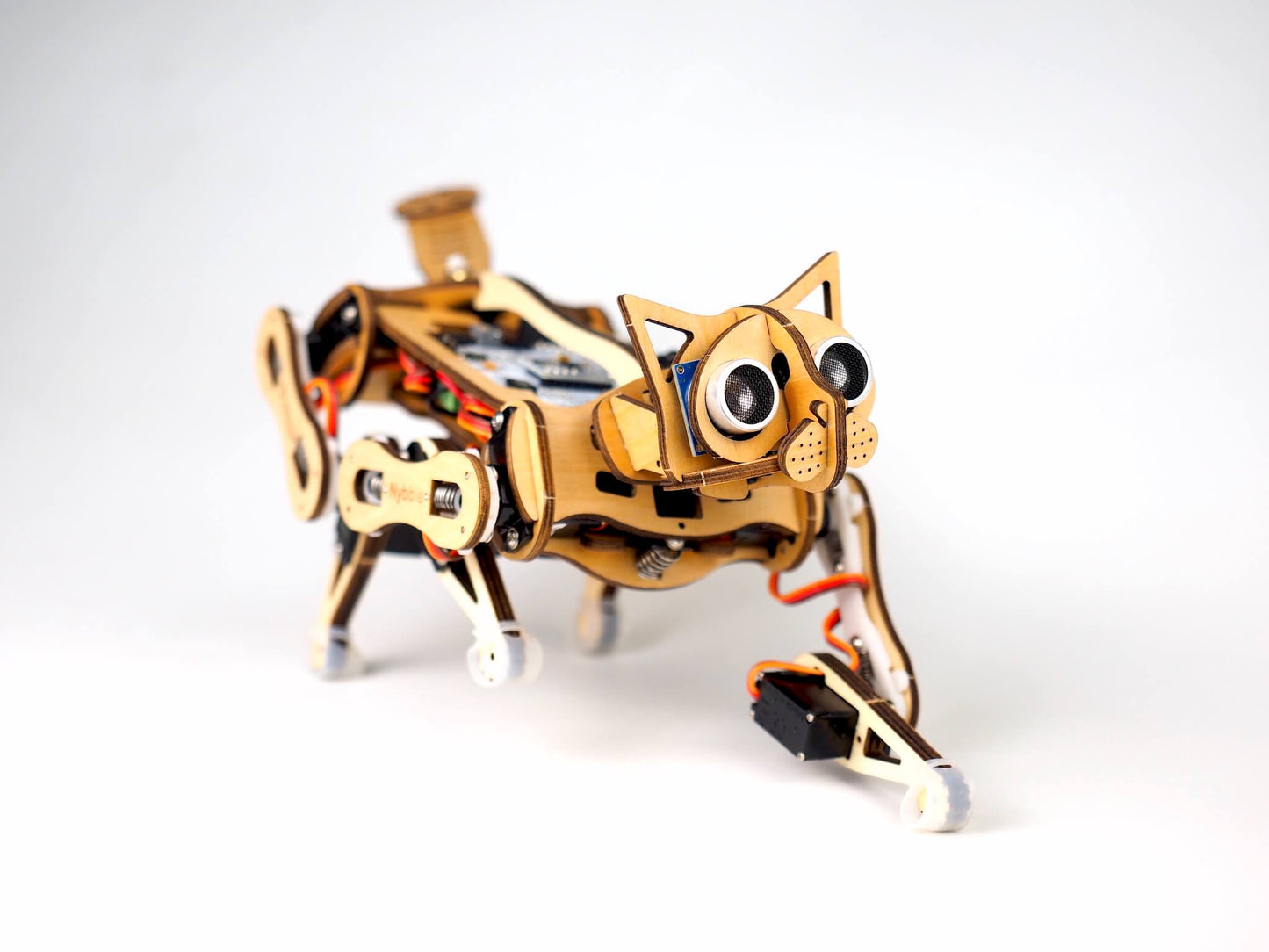 Petoi Nybble robot cat  stretches