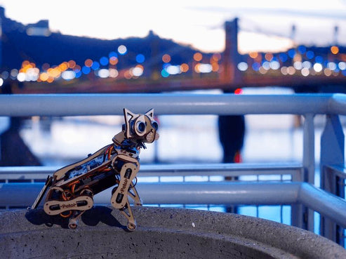 Petoi Nybble robot cat  sits