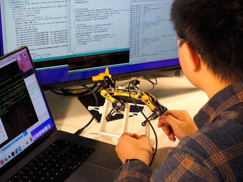 Petoi Bittle robot dog.